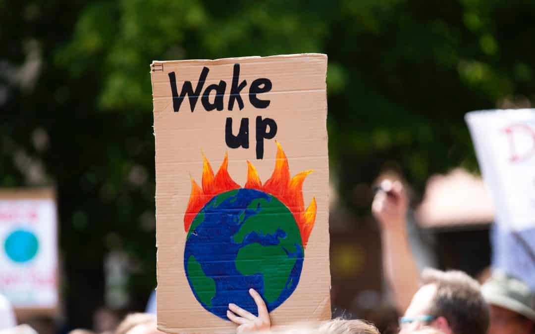 10 Best Business Ideas in Global Warming Time